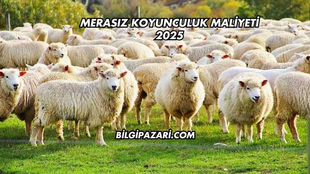 Merasız Koyunculuk Maliyeti 2025