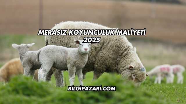 Merasız Koyunculuk Maliyeti 2025
