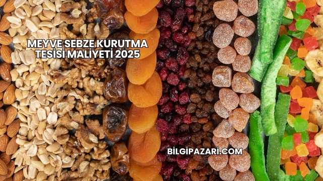 Meyve Sebze Kurutma Tesisi Maliyeti 2025