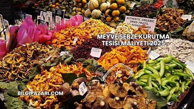 Meyve Sebze Kurutma Tesisi Maliyeti 2025