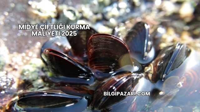 Midye Çiftliği Kurma Maliyeti 2025