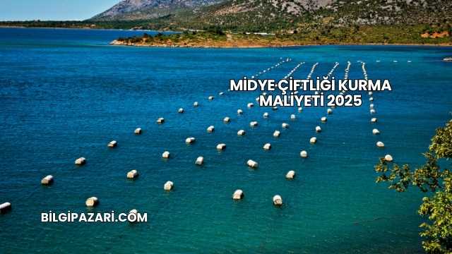 Midye Çiftliği Kurma Maliyeti 2025