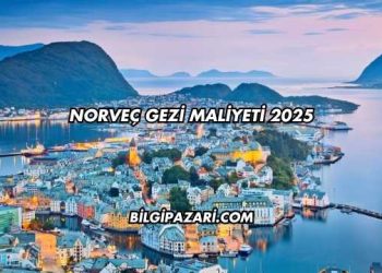 Norveç Gezi Maliyeti 2025