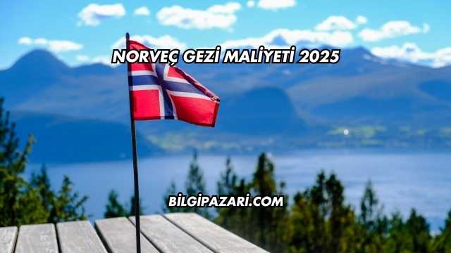Norveç Gezi Maliyeti 2025