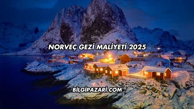 Norveç Gezi Maliyeti 2025