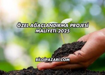 Özel Ağaçlandırma Projesi Maliyeti 2025