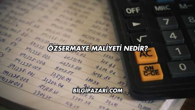 Özsermaye Maliyeti Nedir?