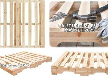 Palet Üretim Tesisi Maliyeti 2025