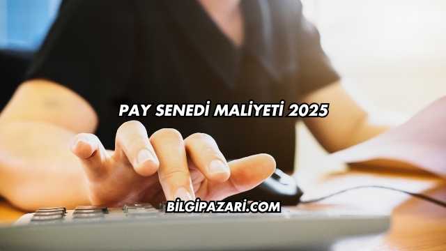 Pay Senedi Maliyeti 2025
