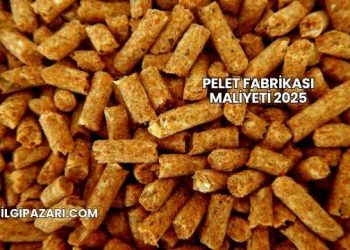 Pelet Fabrikası Maliyeti 2025