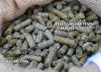Pelet Üretim Tesisi Maliyeti 2025