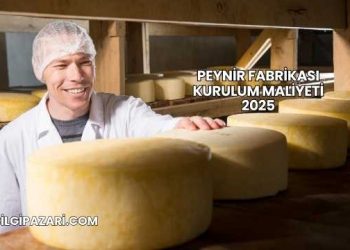 Peynir Fabrikası Kurulum Maliyeti 2025