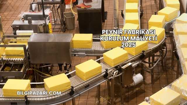 Peynir Fabrikası Kurulum Maliyeti 2025