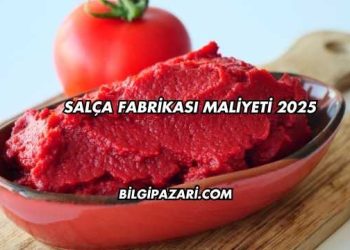 Salça Fabrikası Maliyeti 2025