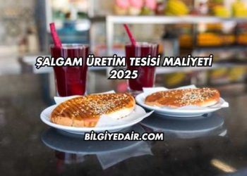 Şalgam Üretim Tesisi Maliyeti 2025