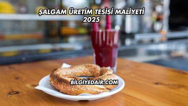 Şalgam Üretim Tesisi Maliyeti 2025