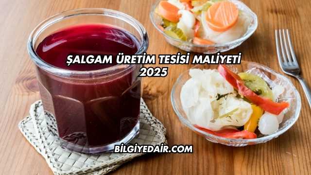 Şalgam Üretim Tesisi Maliyeti 2025
