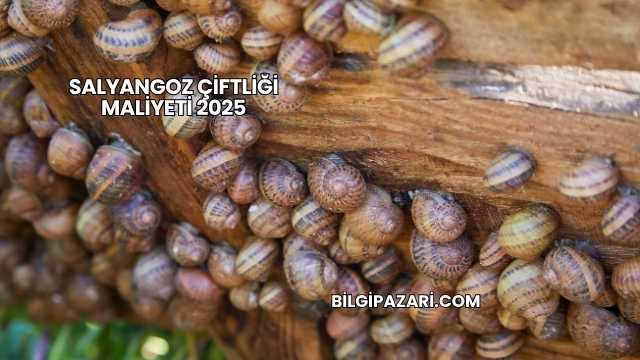 Salyangoz Çiftliği Maliyeti 2025