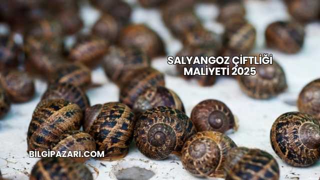 Salyangoz Çiftliği Maliyeti 2025