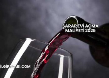Şarap Evi Açma Maliyeti 2025