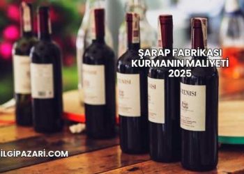 Şarap Fabrikası Kurmanın Maliyeti 2025