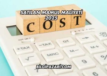 Satılan Mamul Maliyeti 2025