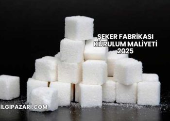 Şeker Fabrikası Kurulum Maliyeti 2025
