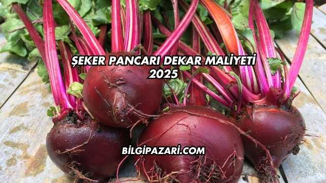 Şeker Pancarı Dekar Maliyeti 2025
