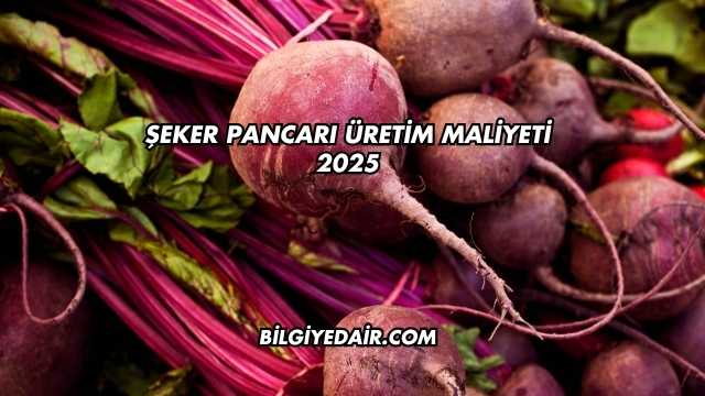 Şeker Pancarı Üretim Maliyeti 2025