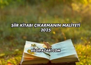 Şiir Kitabı Çıkarmanın Maliyeti 2025