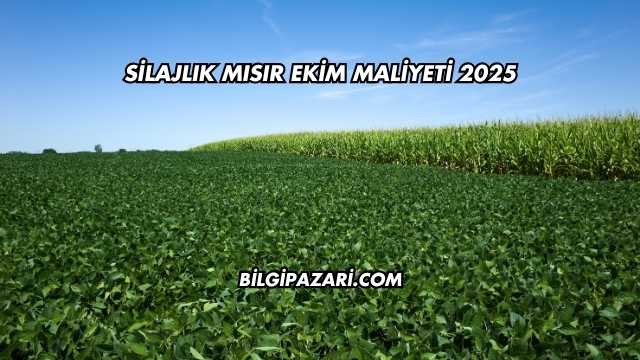 Silajlık Mısır Ekim Maliyeti 2025