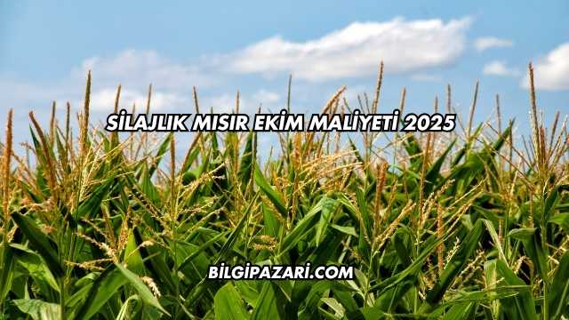 Silajlık Mısır Ekim Maliyeti 2025