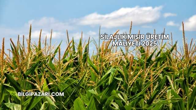 Silajlık Mısır Üretim Maliyeti 2025