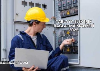 Tarlaya Elektrik Bağlatma Maliyeti 2025