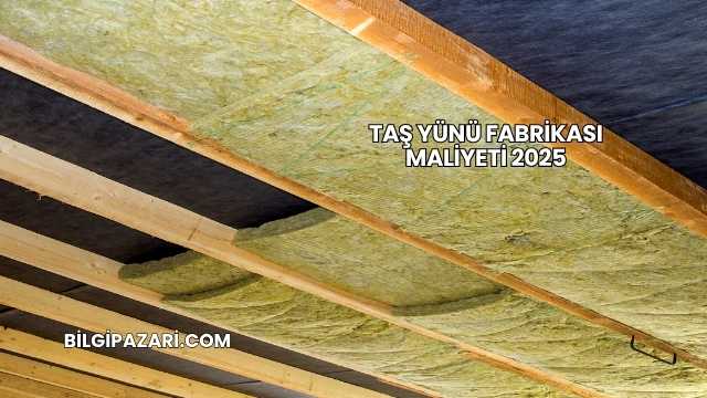 Taş Yünü Fabrikası Maliyeti 2025