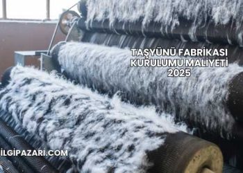 Taşyünü Fabrikası Kurulumu Maliyeti 2025