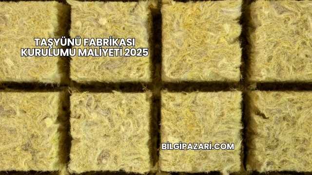 Taşyünü Fabrikası Kurulumu Maliyeti 2025