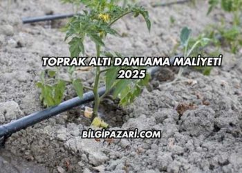 Toprak Altı Damlama Maliyeti 2025