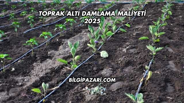 Toprak Altı Damlama Maliyeti 2025