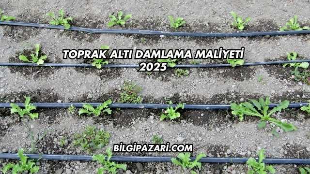 Toprak Altı Damlama Maliyeti 2025
