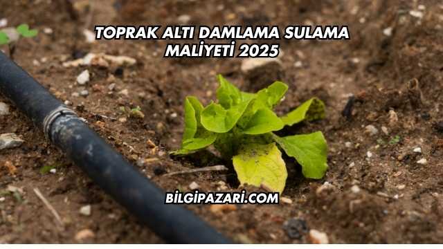 Toprak Altı Damlama Sulama Maliyeti 2025