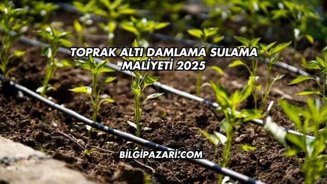 Toprak Altı Damlama Sulama Maliyeti 2025
