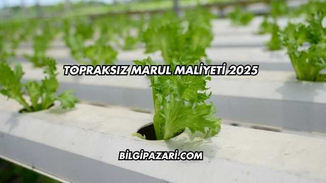 Topraksız Marul Maliyeti 2025