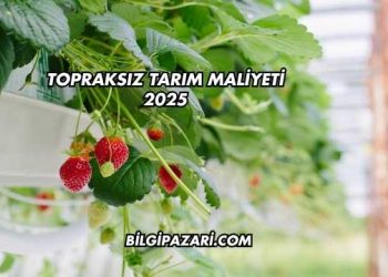 Topraksız Tarım Maliyeti 2025
