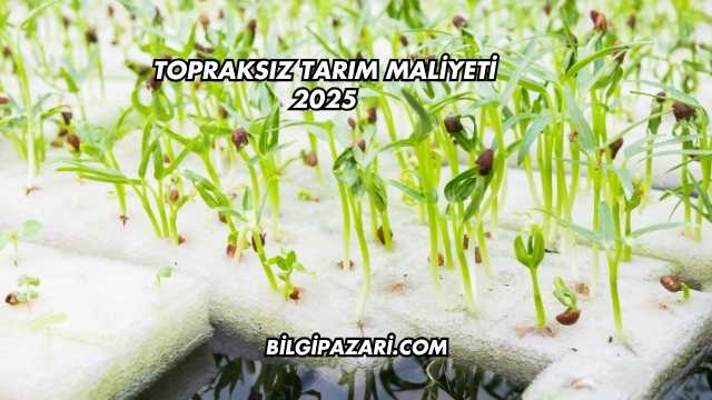 Topraksız Tarım Maliyeti 2025
