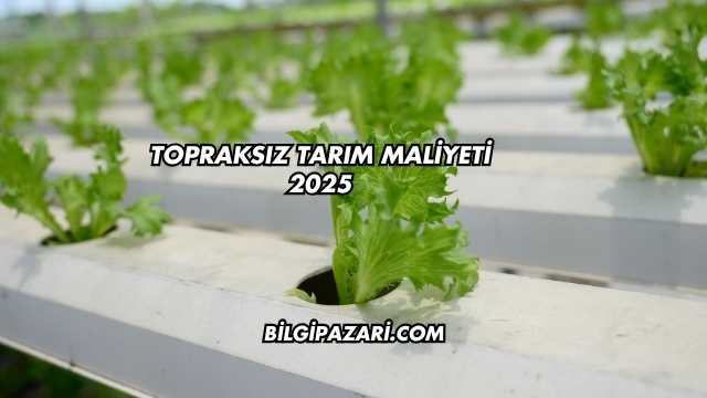 Topraksız Tarım Maliyeti 2025