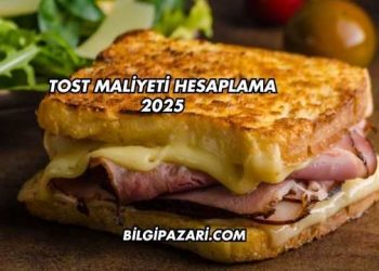 Tost Maliyeti Hesaplama 2025