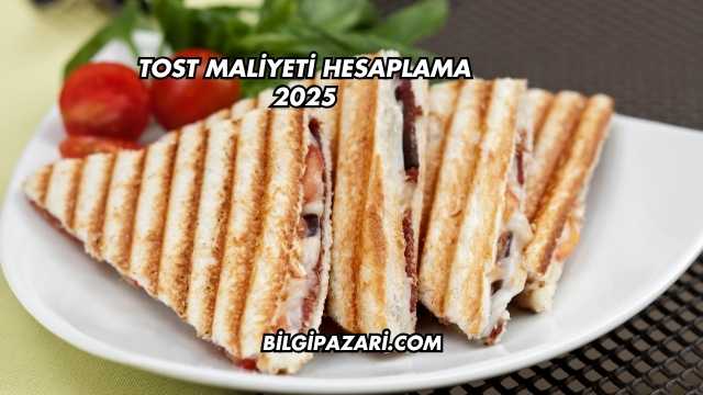 Tost Maliyeti Hesaplama 2025