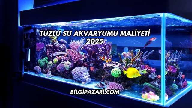 Tuzlu Su Akvaryumu Maliyeti 2025