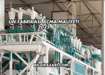 Un Fabrikası Açma Maliyeti 2025